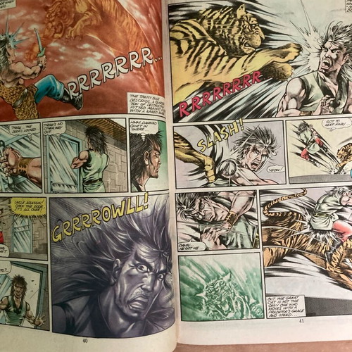 The Force Of Buddha's Palm #6 used, Jademan Comics, January 1988