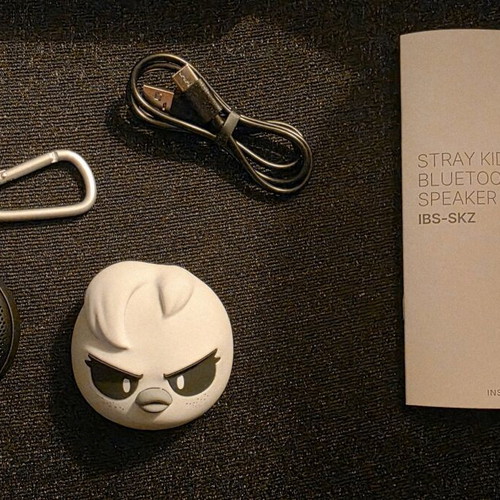 Stray Kids Do It (Evil Skzoo Speaker Version) like new
