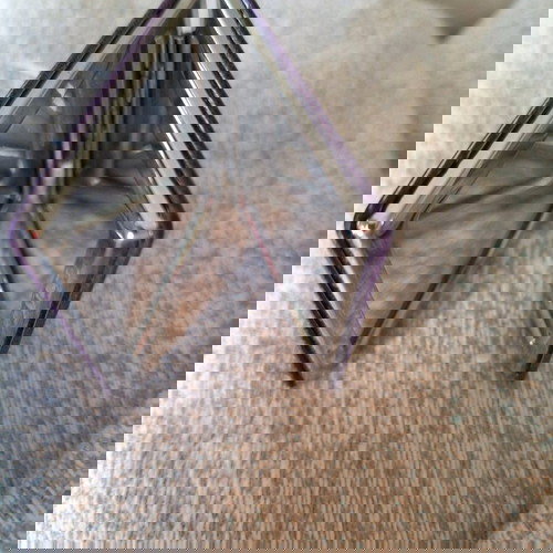 Καθρεφτάκι τσάντας με 2 επιλογές νέο