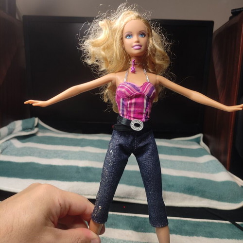 Barbie Country Rock 2009 doll used, missing accessories