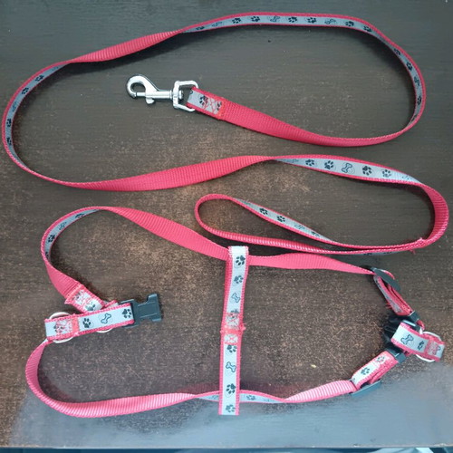 Dog leash and harness new, for small dogs