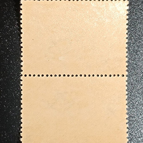 1951 Social Welfare Stamp Pair with Misplaced Marking Unused