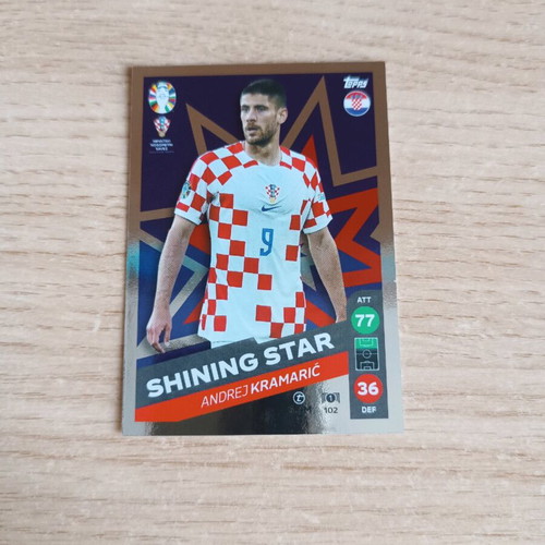 Shining Stars Lidl Card Collection Euro 2024 new