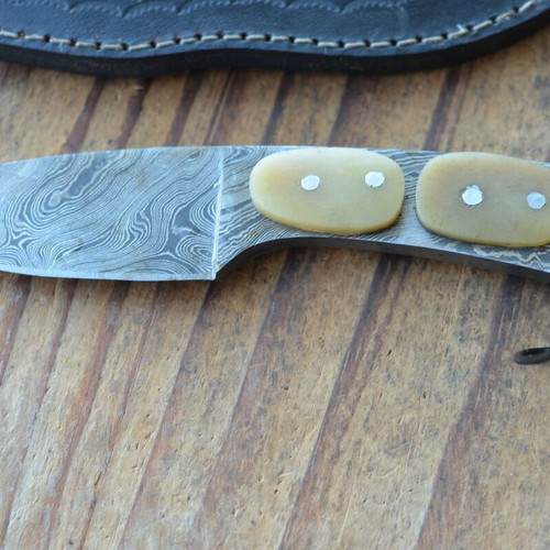 Damascus handmade hunting knife with camel bone handle, Eagle Collection 0920