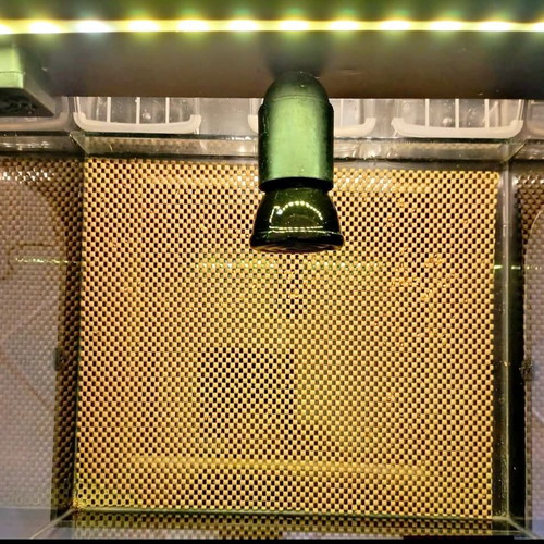 Brooder bird incubator like new with digital thermostat and LED lighting