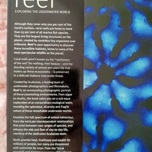 Reef Exploring the Underwater World book like new