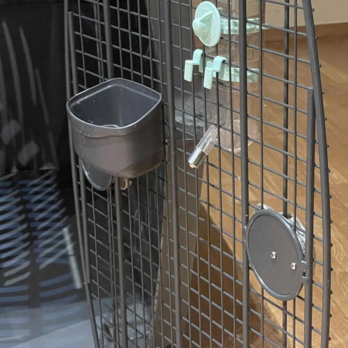 Petmate IATA dog kennel 120x80x90cm