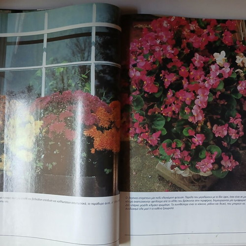 Plants in Pots Anthoculture Guide Volume 1 used