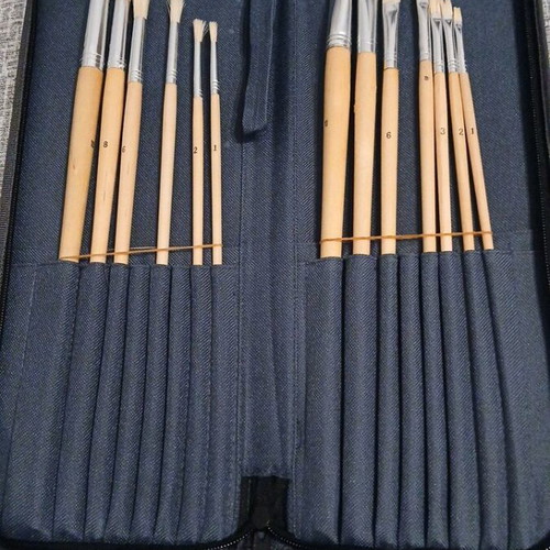 Painting brushes new, set of 13 with case