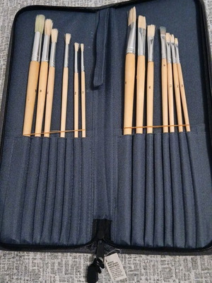 Painting brushes new, set of 13 with case