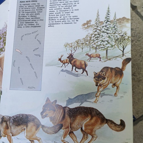 O Kosmos ton Zoon Children Book used, dogs and felines