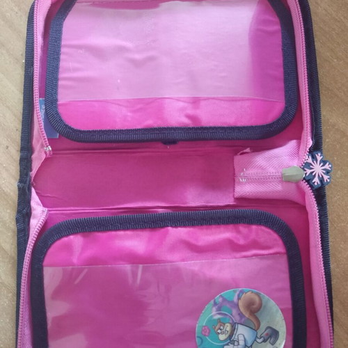 Frozen pencil case used, large school