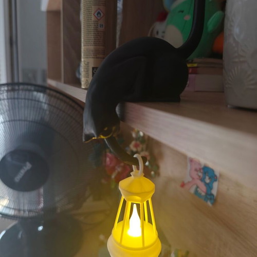 3D Maker decorative black cat lantern new