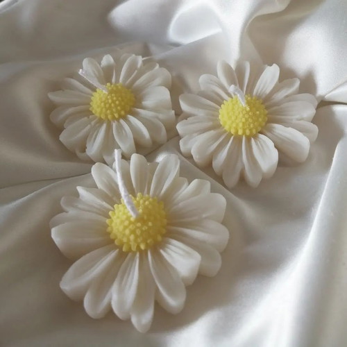 Daisy candle new with plant wax and bubblegum scent
