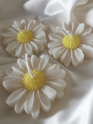 Daisy candle new with plant wax and bubblegum scent