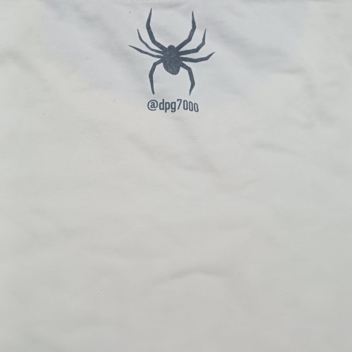 DPG authentic shirt Giannakopoulos