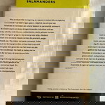  Βιβλίο για το βιομηχανικό design: Ontwerpen en verwepen (1959, Dutch edition)