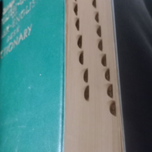 Classic English-Greek and Greek-English Dictionary by George C. Divry used, 1976 edition