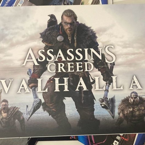 Ubisoft Assassins Creed Valhalla Store Promo Display Plastic new