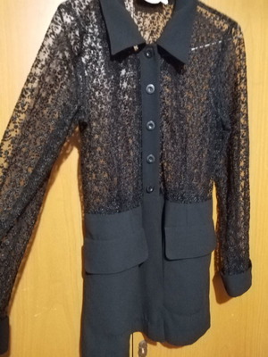 Official Vest with Transparency