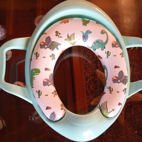 Children's potty and toilet training seat like new