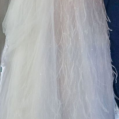 Wedding dress handmade used with embroidery, veil and feathers