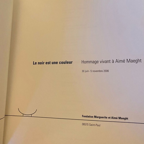 Le noir est une couleur book like new, French