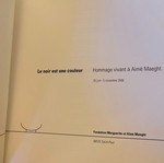 Le noir est une couleur book like new, French