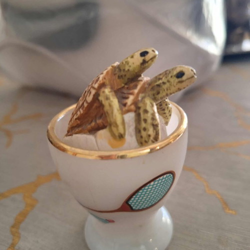 Turtle decoration like new
