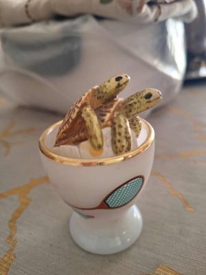 Turtle decoration like new