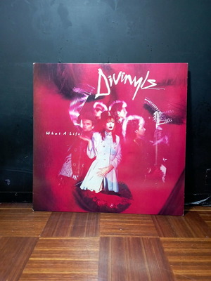 Divinyls What a Life! βινύλιο σαν καινούργιο, rock