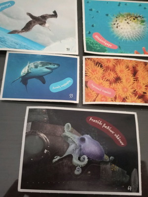 AB Stickers Exploring the Ocean like new, 5 individual pieces