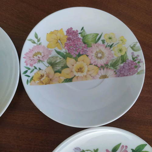 Ionias fruit plates new, set of 6 vintage