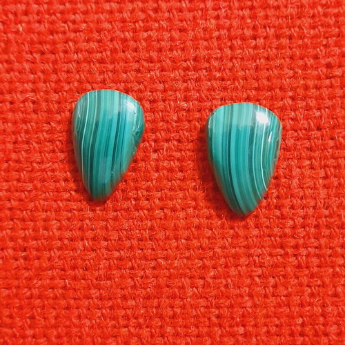Malachite earrings silver stud new