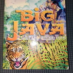 Big Java 2nd edition in English like new