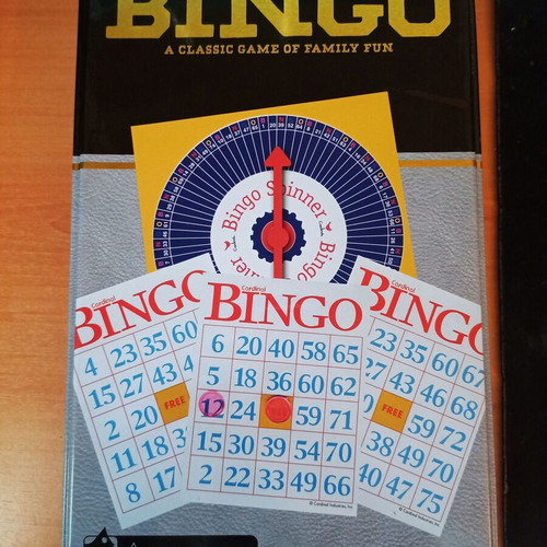 Bingo game new