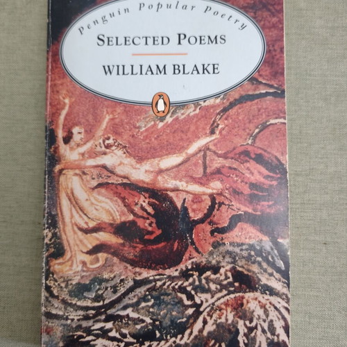 Collection of Foreign and Greek Poetry books like new