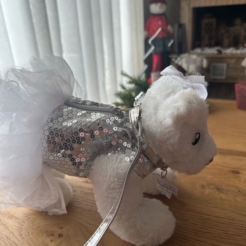 Doggie Star Bag Like New White With Silver Sequin