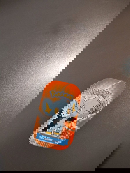 Pokémon metal tag