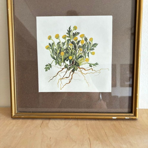 Vintage frame with floral design used, 27.5x27.5 cm
