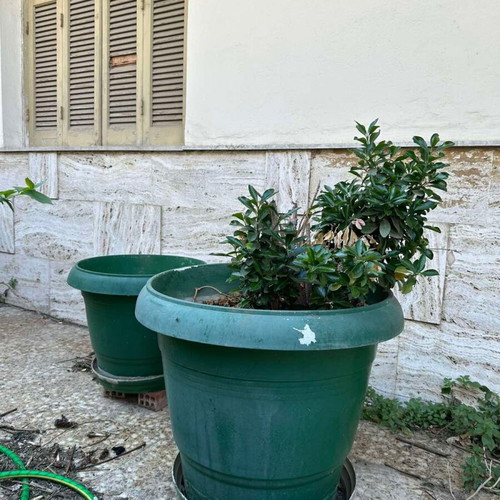 Flower pots used, pack of 2 green and 2 brown