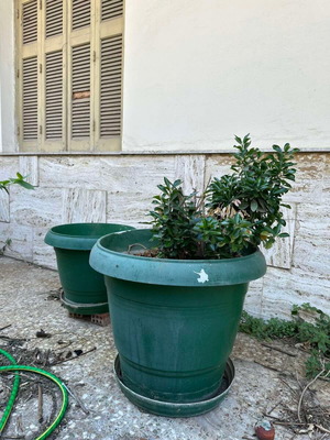 Flower pots used, pack of 2 green and 2 brown