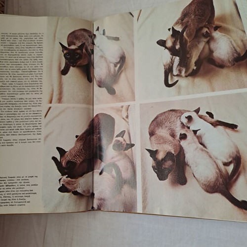 Book/Encyclopedia "The Wonderful World of Animals" like new, Greek