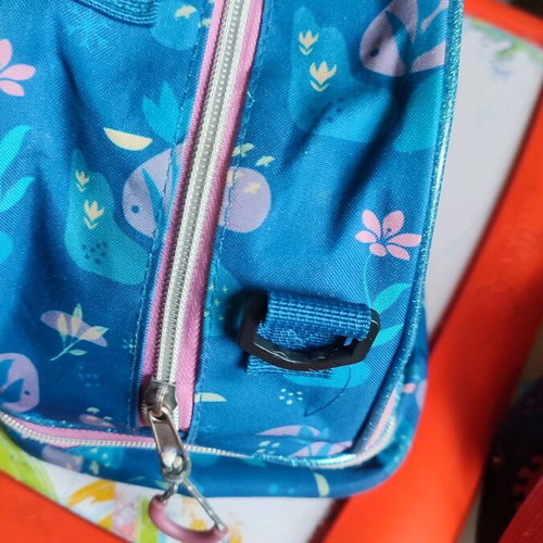 Insulated kindergarten lunch bag like new