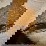  Πουλάω μια γκαζιέρα για βάφλες