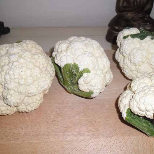 Gypsum cauliflower new, pack of 4 for decoration