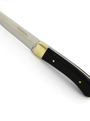 Russian Okhotnik knife, steel, bronze, black wood, 21cm