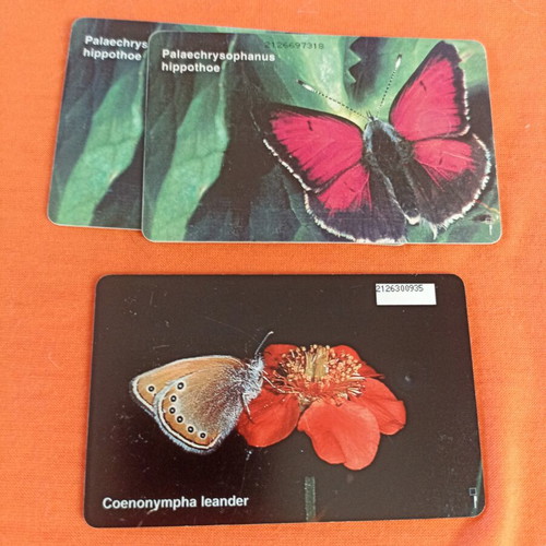 Butterfly phone cards set 3 used 1997