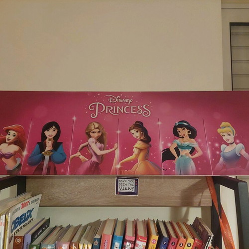 Disney Princesses poster used with 6 princesses