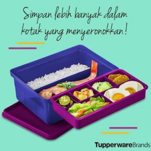 Fun Kepper Tupperware food storage container new